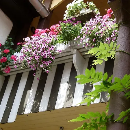 Hotel & Garkueche Leutenberg