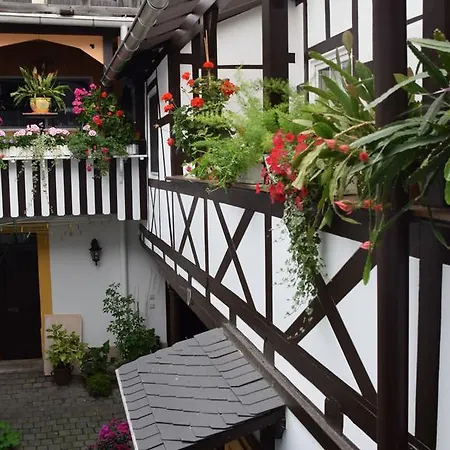 Hotel & Garkueche 3*