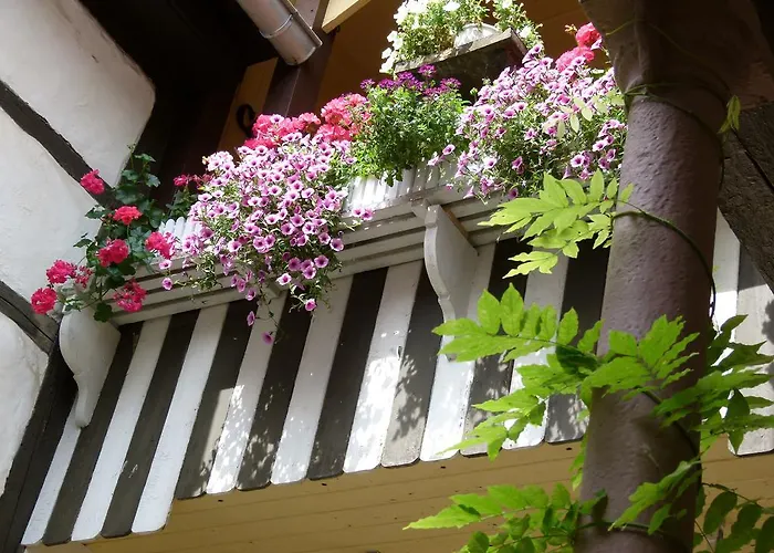 Hotel Hotel&gasthof Garküche Leutenberg