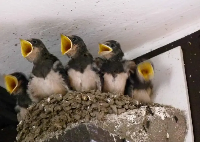 & Garkueche Leutenberg